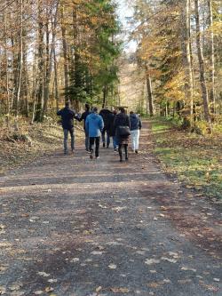 Walking and Talking in Zurich